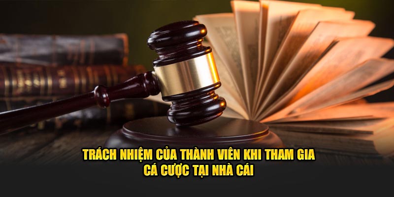 Trách nhiệm của thành viên khi bắt đầu cá cược tại nền tảng
